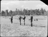 MALMLETARE I FÄLT II