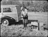 MALMLETARE I FÄLT II