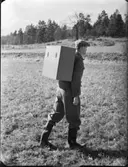 MALMLETARE I FÄLT II