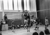 Volleybollmatch på Risbergska skolan, november 1981