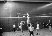 Volleybollmatch på Risbergska skolan, november 1981