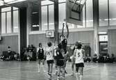 Volleybollmatch på Risbergska skolan, november 1981