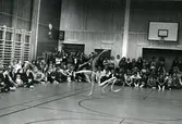 Gymnastikuppvisning på Risbergska skolan, november 1981