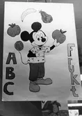 Fruktplansch på Risbergska skolan, november 1981