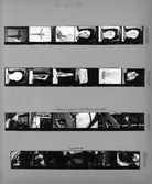 Kontaktkarta med skulpturer.