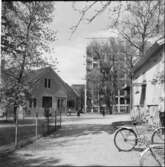 HANDELSHÖGSKOLAN