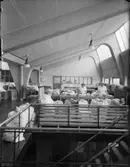 KOLLEKTIVTVÄTT, PANNCENTRAL
EXTERIÖR