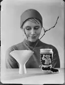 OMFOTO K LOKRANTZ MED VACKRA OCH FULA BRUKSVAROR