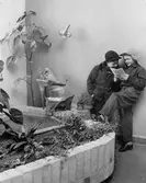 Elever på Vasaskolan, 1950-tal