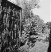 FRUKOSTBRICKOR MED DEKORERADE OCH ENFÄRGADE KOPPAR