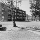 LUDVIKA