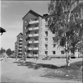 LULEÅ