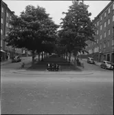 STOCKHOLM, RÖDABERGSOMRÅDET, KASTANJEBLOM
EXTERIÖR