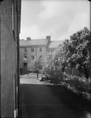 STOCKHOLM, RÖDABERGSOMRÅDET, KASTANJEBLOM
EXTERIÖR