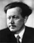 Fotografi av författaren Hjalmar Bergman 