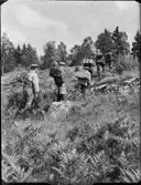 SPRÄNGNING I, INSTRUMENT I FÄLT