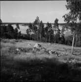 SUNDBYHOLMS SLOTT
BADSTRAND, EXTERIÖR SLOTTET, ÅSEN, SMÅSTUGEOMRÅDE