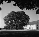 SUNDBYHOLMS SLOTT
BADSTRAND, EXTERIÖR SLOTTET, ÅSEN, SMÅSTUGEOMRÅDE