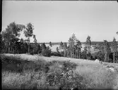 SUNDBYHOLMS SLOTT
INTERIÖR KÄLLARVALV, FESTSAL, ARMATUR FRÅN 