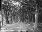 SUNDBYHOLMS SLOTT
INTERIÖR KÄLLARVALV, FESTSAL, ARMATUR FRÅN 