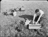 MALMLETARE I FÄLT (GUBBÄNGSTORGET)