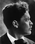 Författaren Hjalmar Bergman. 