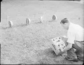 INSTRUMENT PÅ GRÄSMATTA (KLIPPT PARKMATTA)