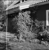 UDDEHOLM BOSTÄDER
EXTERIÖR MED HAVREKÄRVE