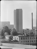 KV HANEN, OMSLAG OCH HELSIDA