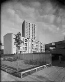 KV HANEN, OMSLAG OCH HELSIDA