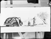 BÅTAR, VANGUARD, SKOR