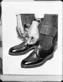 BÅTAR, VANGUARD, SKOR