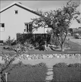 NORRKÖPING, LINKÖPING, MANTORP, KOLMÅRDEN