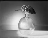 ORREFORSGLAS MED GRÖNSAKER, FRUKT, KEX, OST