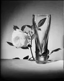 ORREFORSGLAS MED GRÖNSAKER, FRUKT, KEX, OST