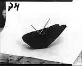 Konstverk,  Koordinat.