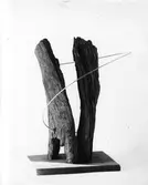 Konstverk,   Två trä med ring.