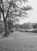 Stortorget österut, 1955