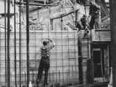 Ameringsjärn på väggarna vid polishuset, 1956-06-19