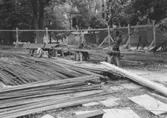 Armeringsjärn sorteras vid polishusbygget, 1956-08-24