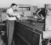 Inför rattfylleriprov, 1951