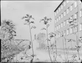 CHALMERS TEKNISKA HÖGSKOLA
EXTERIÖR