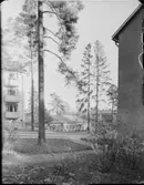 JOHANNESFRED, STUREBY (BANDHAGEN), BLACKEBERG LEKSTUGA