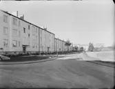 JOHANNESFRED, STUREBY (BANDHAGEN), BLACKEBERG LEKSTUGA