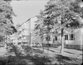 JOHANNESFRED, STUREBY (BANDHAGEN), BLACKEBERG LEKSTUGA