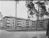 JOHANNESFRED, STUREBY (BANDHAGEN), BLACKEBERG LEKSTUGA