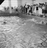 Anordnad simtävling, skolsim, på badhuset i Huskvarna år 1956.