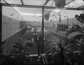 Avesta Högre Allmänna Läroverk