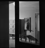 Avesta Högre Allmänna Läroverk