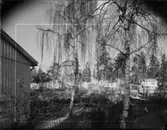 LILLÄNGEN EGNAHEMSOMRÅDE